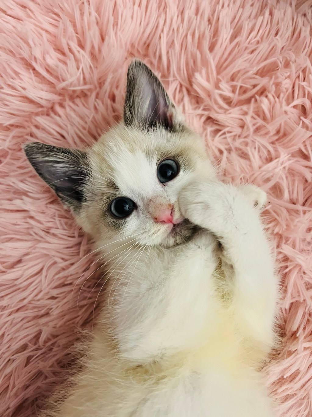 Choosing Joy — Inch by&nbsp;Inch