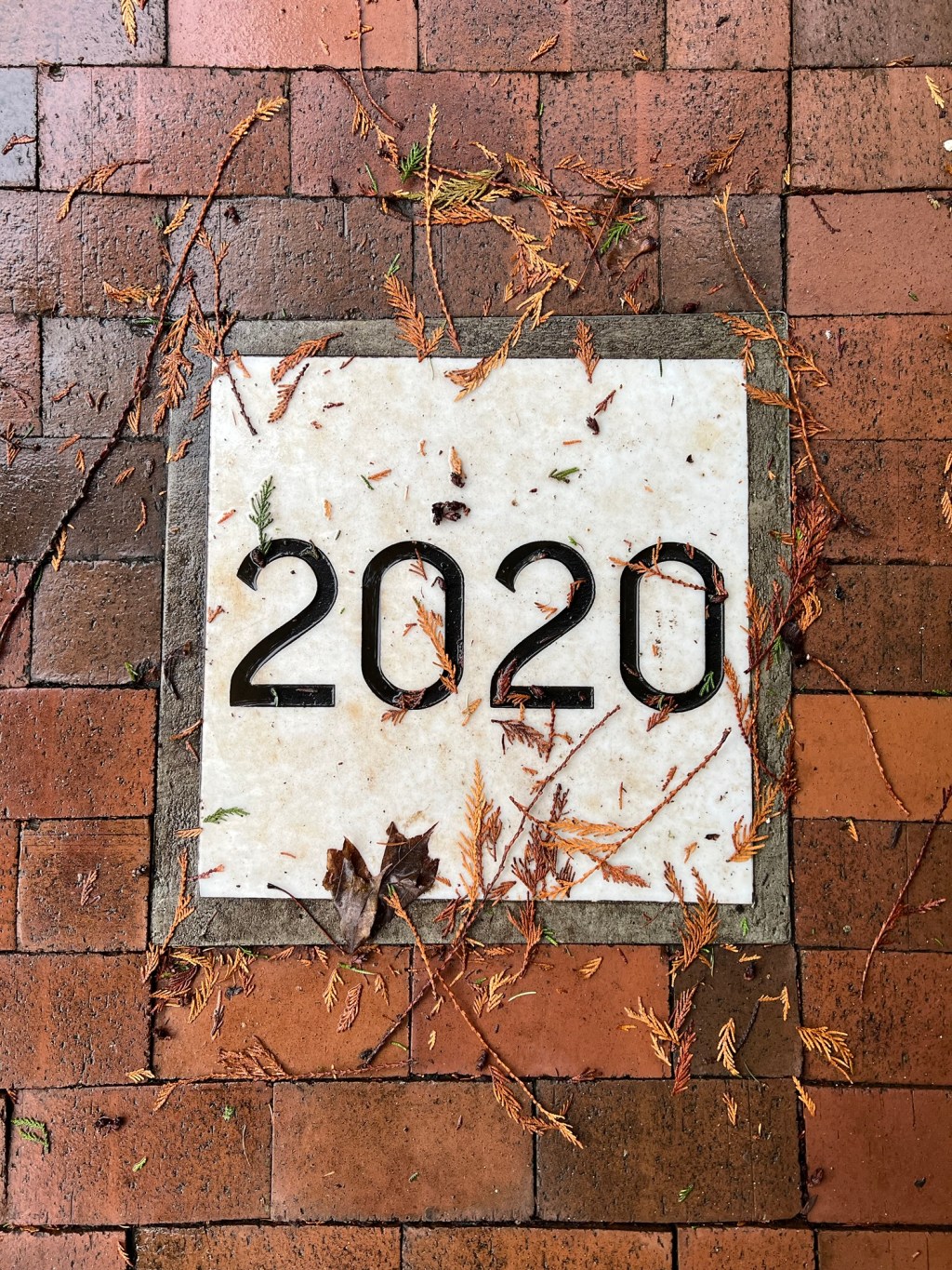 A Season of&nbsp;Becoming