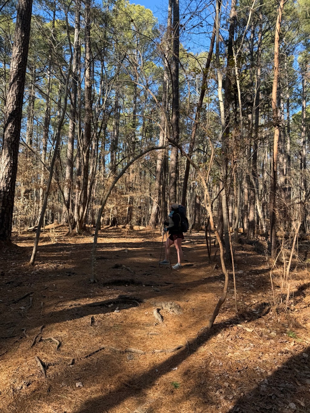 The Noise Before the&nbsp;Silence