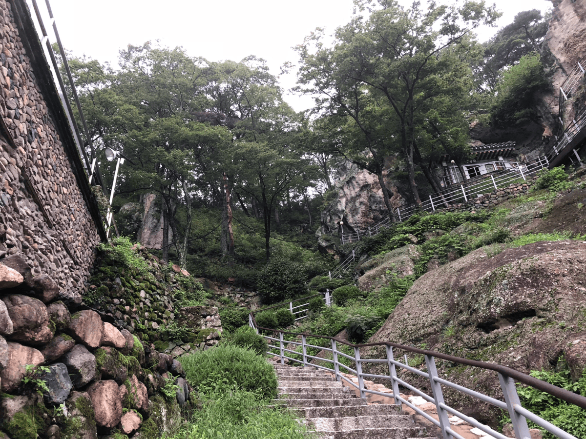The Asia I Thought I Knew: Lessons from&nbsp;Busan