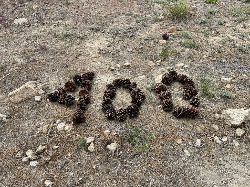 Day 25 — Little Jimmy Camp to Sulphur Springs Camp — 400&nbsp;Miles