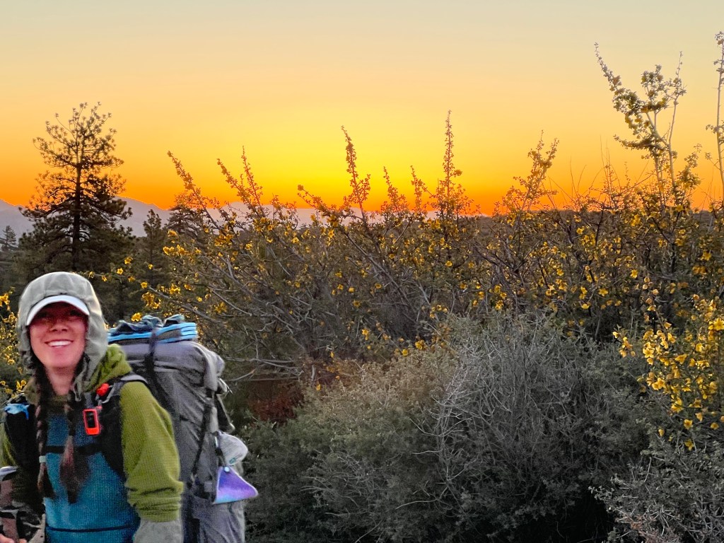Day 39: 650 Miles