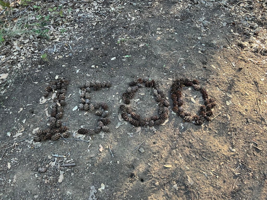 Day 91: Into Mount Shasta — 1500&nbsp;Miles!