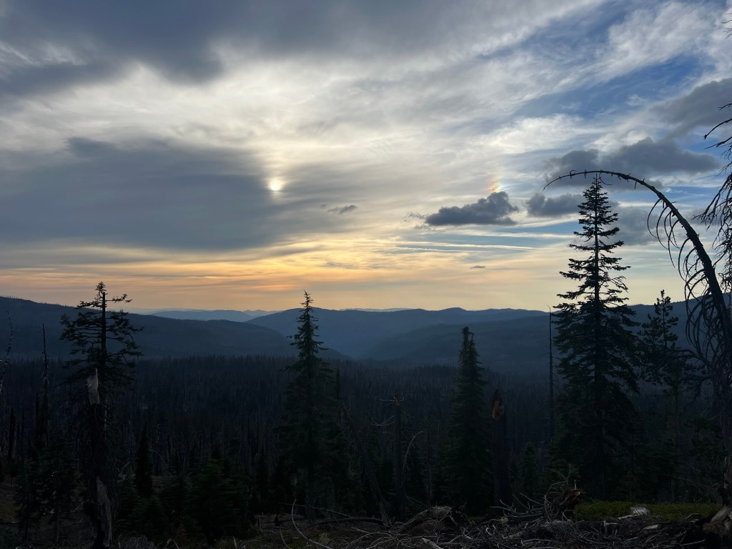 Day 106: Big Black Ants and 1800 Miles